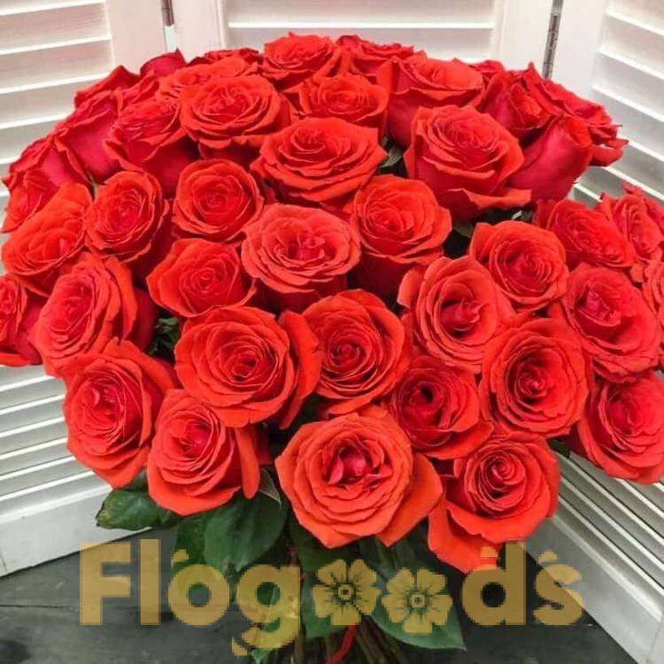 51 красная роза за 19 440 руб.